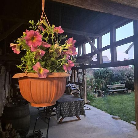 Apartament A La Forge Sermersheim Zewnętrze zdjęcie