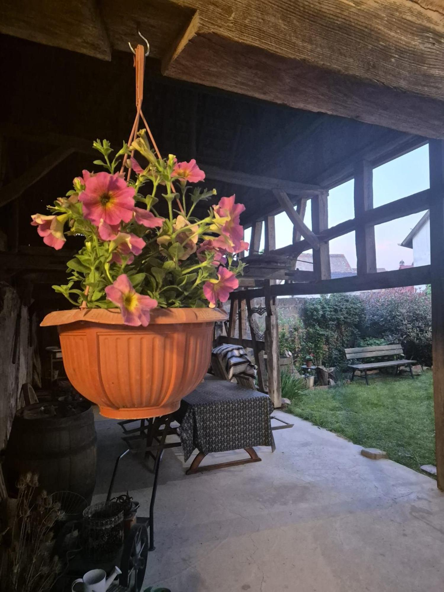 Apartament A La Forge Sermersheim Zewnętrze zdjęcie